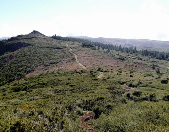 Abstieg vom Pico Ruivo do Paúl da Serra.