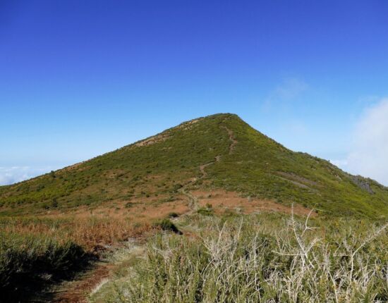 Blick zurück zum Pico Ruivo do Paúl da Serra.