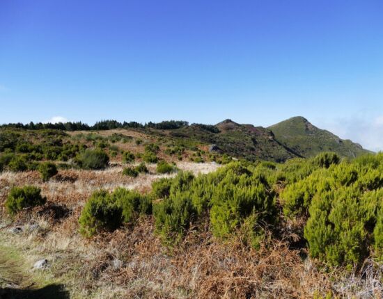 Hochebene Paúl da Serra.