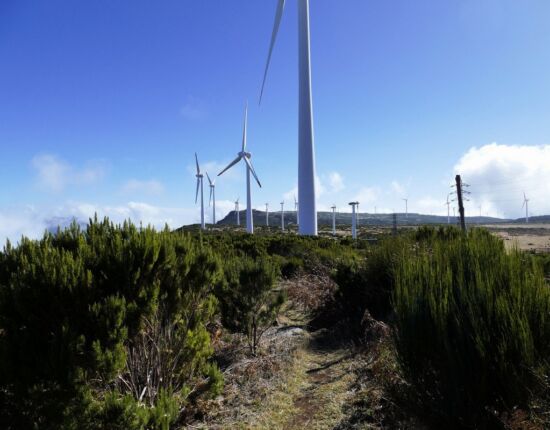 Hochebene Paúl da Serra.