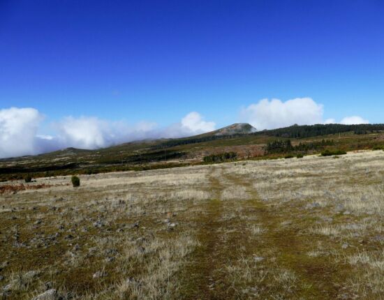 Hochebene Paúl da Serra.