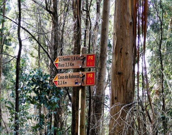 Typische Madeira-Wegbeschilderung.