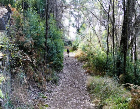 Start zur Wanderung.