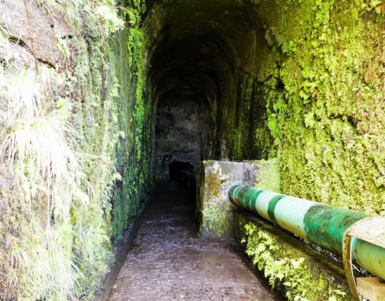 Der Reitertunnel ist 800 m lang.