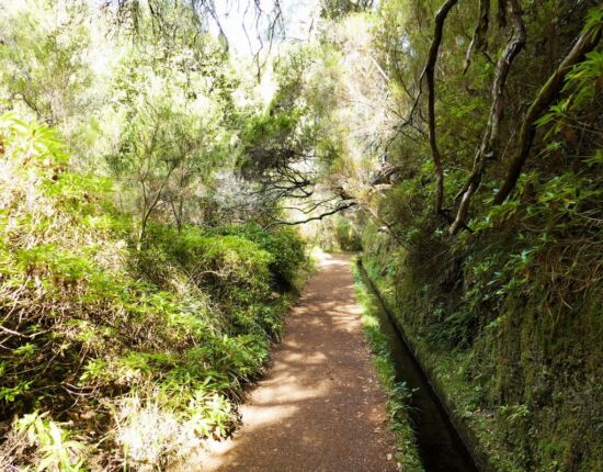 Levada das 25 Fontes.