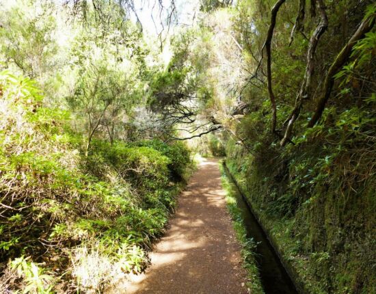 Levada das 25 Fontes.