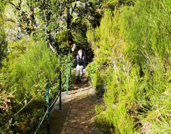 Aufstieg nach Rabaçal.