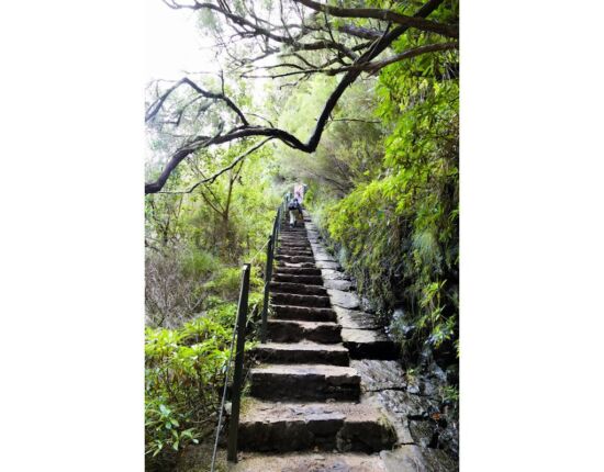 Levada das 25 Fontes.