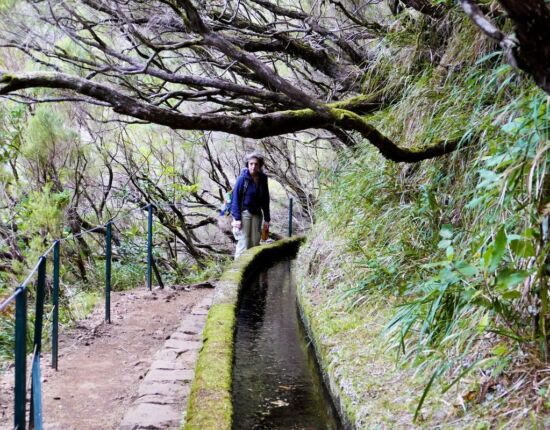 Levada das 25 Fontes.
