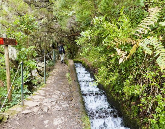 Levada das 25 Fontes.
