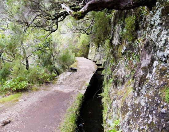Levada das 25 Fontes.
