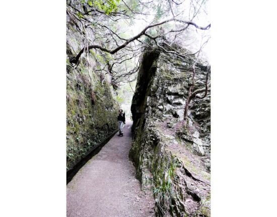 Levada das 25 Fontes.