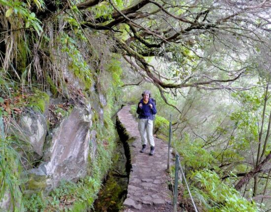 Levada do Caldeirão Verde.