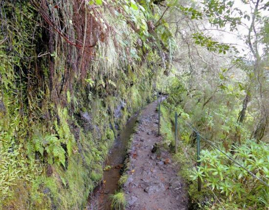 Levada do Caldeirão Verde.