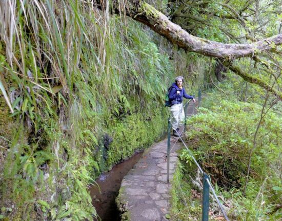 Levada do Caldeirão Verde.