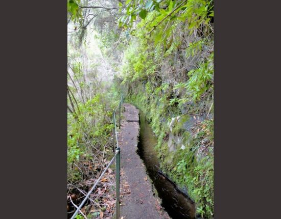 Levada do Caldeirão Verde.
