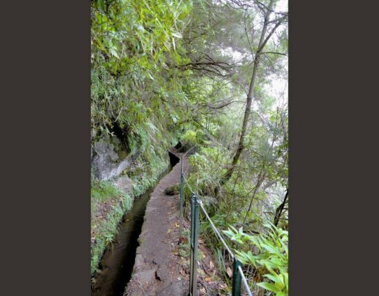 Levada do Caldeirão Verde.