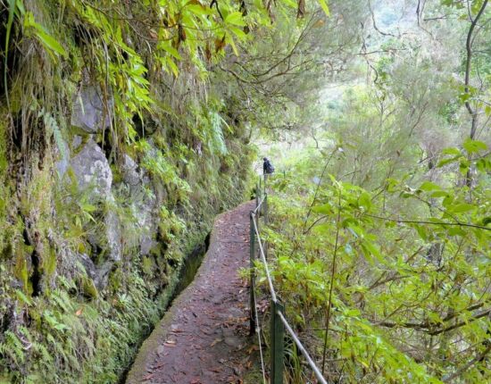 Levada do Caldeirão Verde.