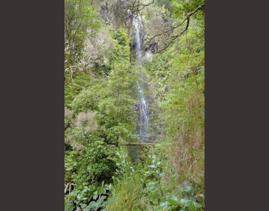 Levada do Caldeirão Verde.