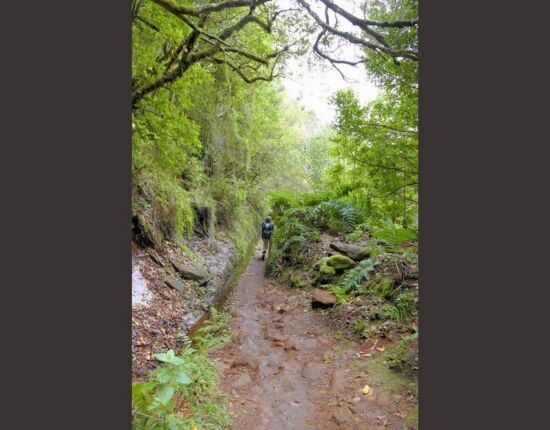 Levada do Caldeirão Verde.