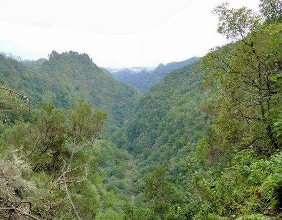Levada do Caldeirão Verde.