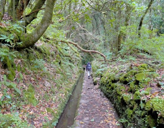 Levada do Caldeirão Verde.