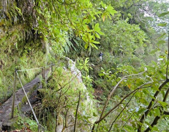 Levada do Caldeirão Verde.