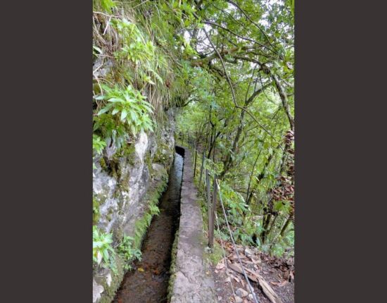 Levada do Caldeirão Verde.