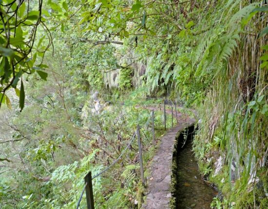 Levada do Caldeirão Verde.