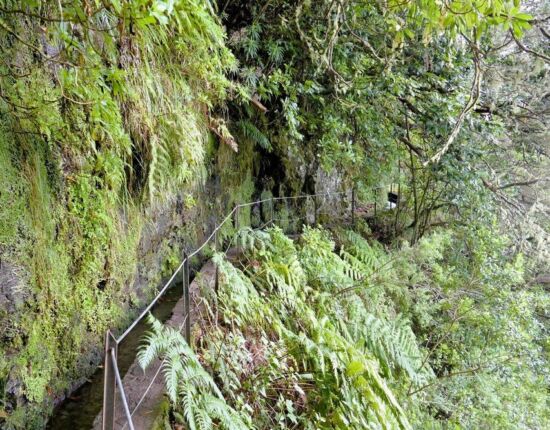 Levada do Caldeirão Verde.