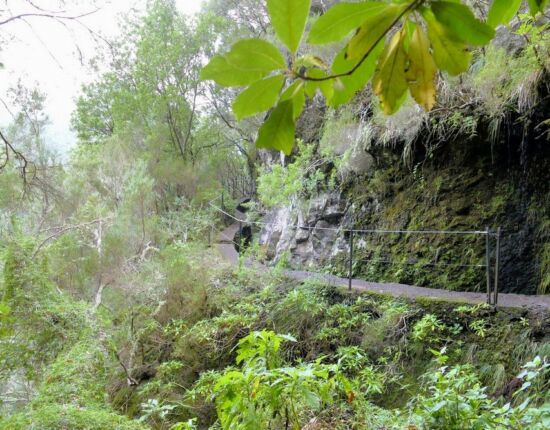 Levada do Caldeirão Verde.