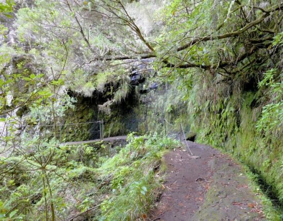 Levada do Caldeirão Verde.