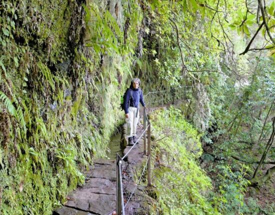 Levada do Caldeirão Verde.