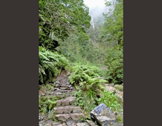 Die Treppe führt in den Caldeirão Verde.