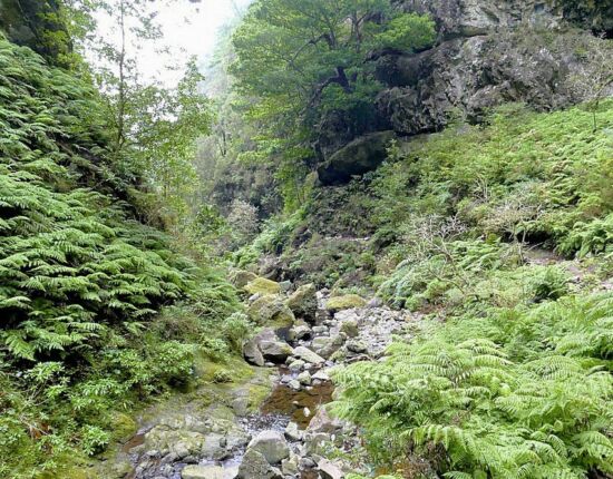 Caldeirão Verde.