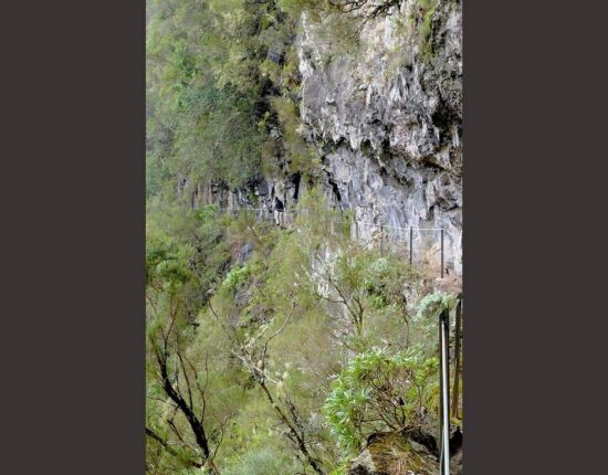 Levada do Caldeirão Verde.