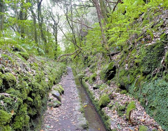 Levada do Caldeirão Verde.