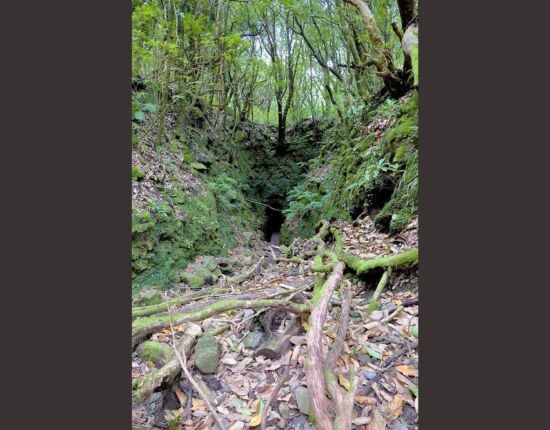 Levada do Caldeirão Verde.