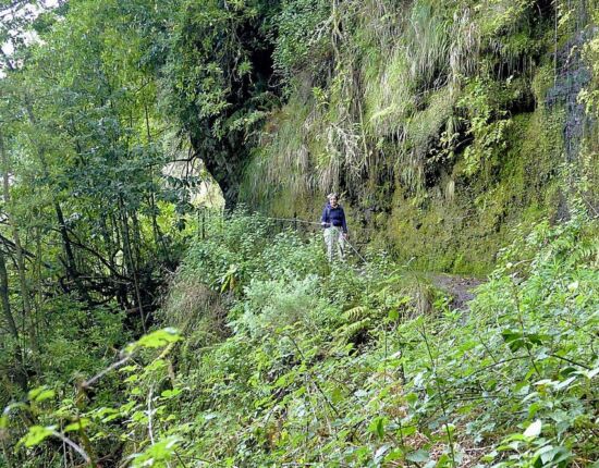 Levada do Caldeirão Verde.