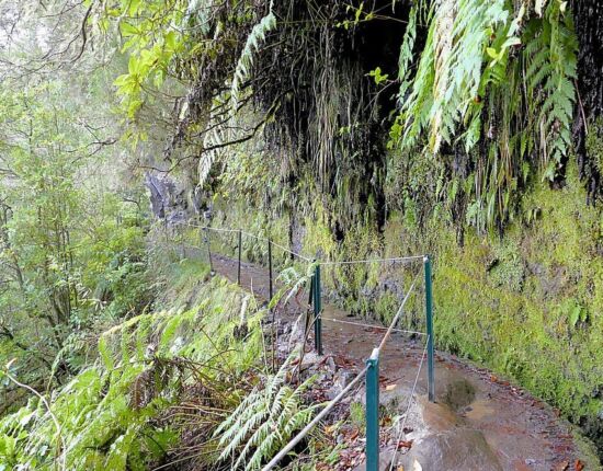 Levada do Caldeirão Verde.
