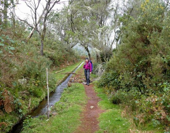 Levada do Moinho - es wird lange und heftig regnen.