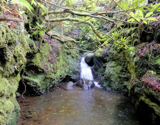 Levada do Moinho - Madre da Levada.