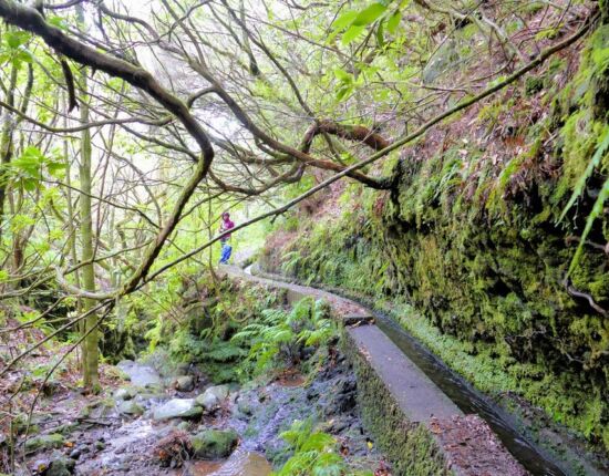 Levada do Moinho.