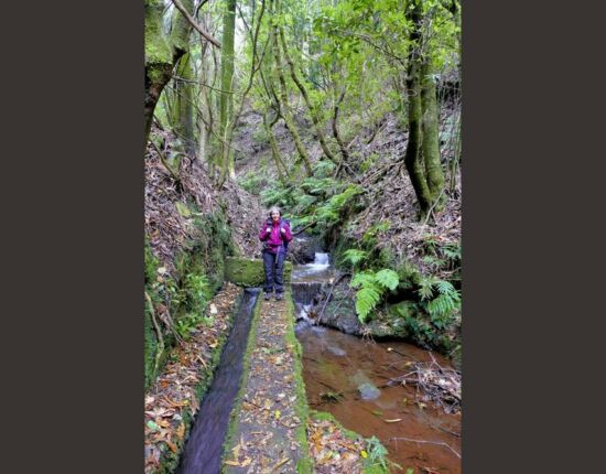 Levada do Moinho.