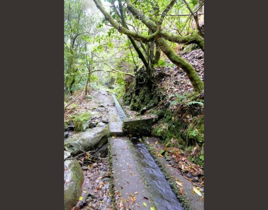 Levada do Moinho.