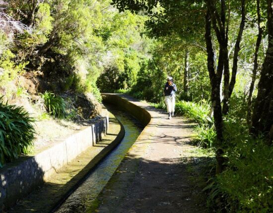 Levada do Norte.