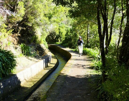 Levada do Norte.