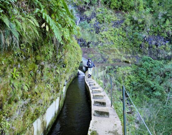 Levada do Norte.