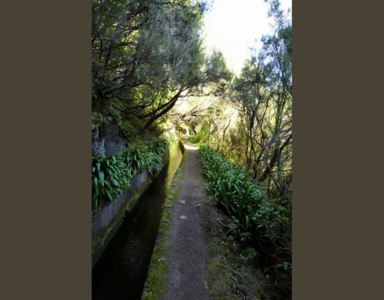 Levada do Norte.