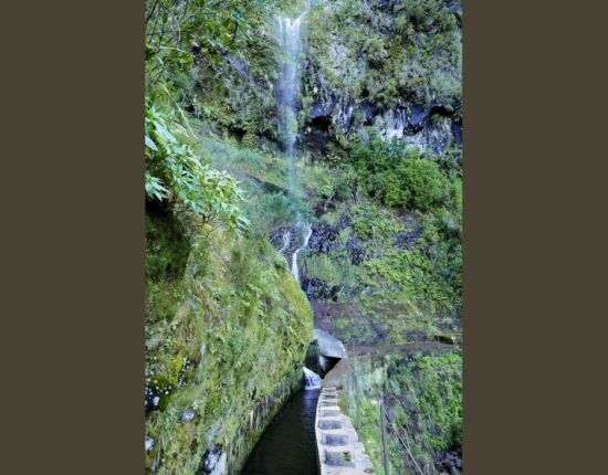 Levada do Norte.